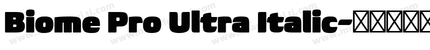 Biome Pro Ultra Italic字体转换